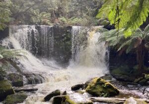 Russell Falls Tasmania