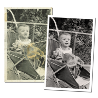 TPW Photo Restoration